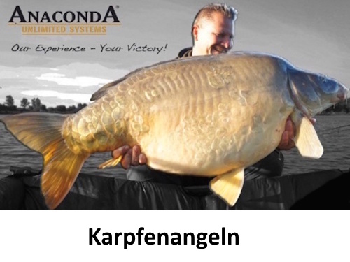 Anaconda Karpfenangeln